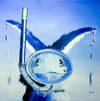 Seehas superklein kobaltblau